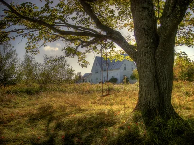 Malagash - Photo 2