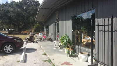 Thonotosassa - Photo 2