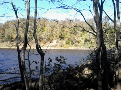 Conway - Photo 3