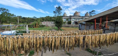 Xinpu - Photo 2