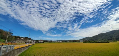 Xinpu - Photo 4