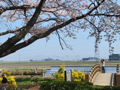 Watari - Photo 3
