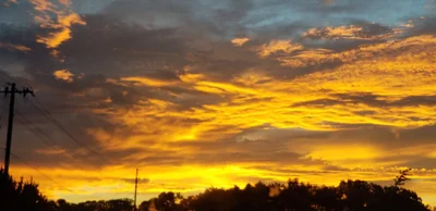 Scottsville - Photo 4