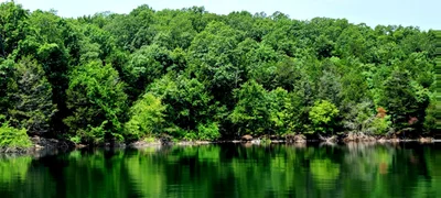 Bull Shoals - Photo 2