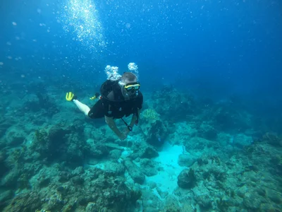 Jacques Cousteau's Underwater Reserve - Photo 4