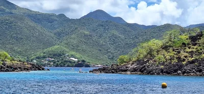 Jacques Cousteau's Underwater Reserve - Photo 5
