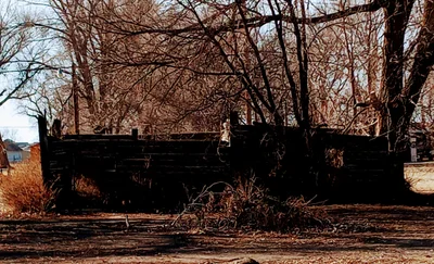 Orchard - Photo 4