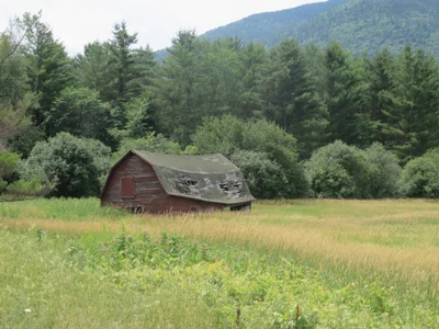 Keene - Photo 2