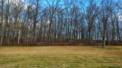 Monkton - Photo 5