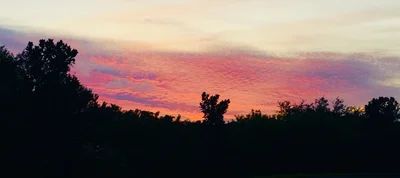 Myakka City - Photo 5