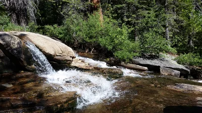 Twin Bridges - Photo 3