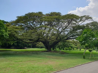 Hope Botanical Garden and Zoo - Photo 4