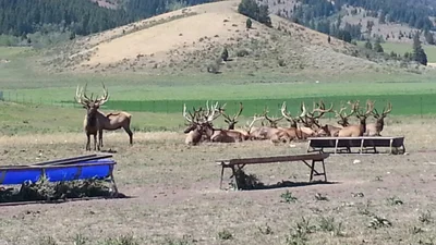 Soda Springs - Photo 5