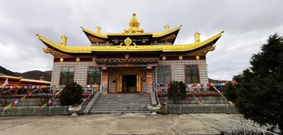 Xiaojin - Photo 4