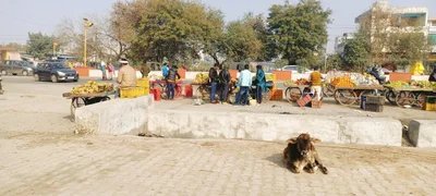 Bhiwadi - Photo 4