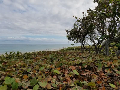 Hobe Sound - Photo 2