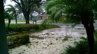 Hobe Sound - Photo 3