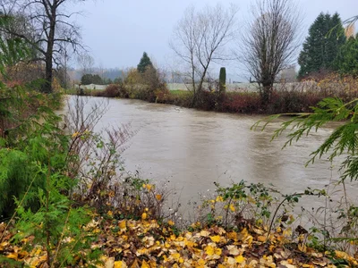 Snohomish - Photo 4