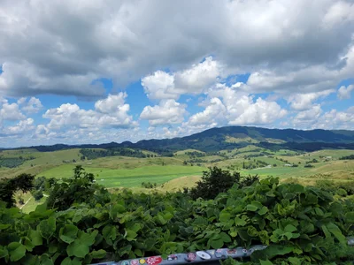 Tazewell - Photo 2