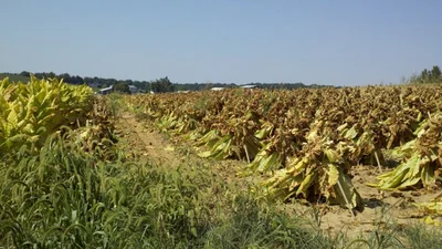Hodgenville - Photo 5