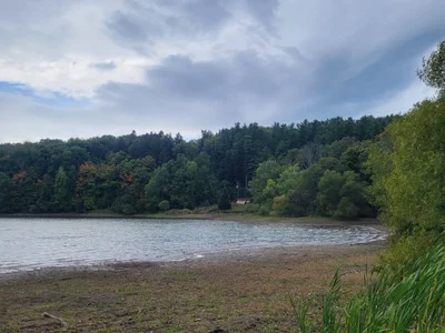 Clarks Summit - Photo 3