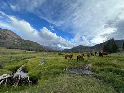 High Uintas Wilderness Area - Photo 4