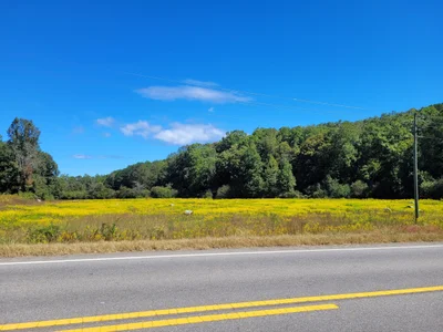 Heflin - Photo 4