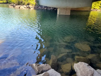 Hiawassee - Photo 3