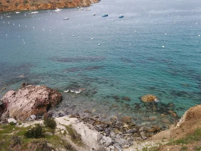 Catalina Island - Photo 2