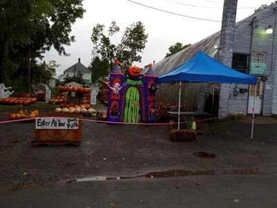 Herkimer - Photo 2