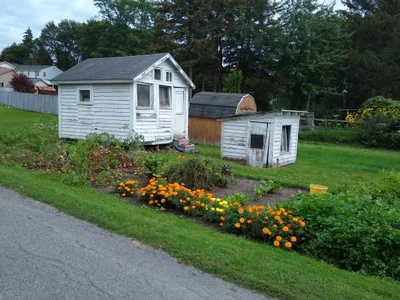 Herkimer - Photo 4
