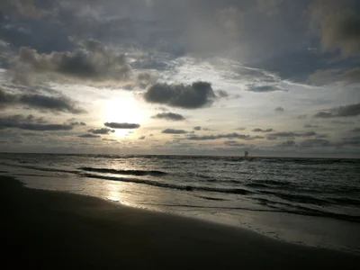 Seria - Photo 3