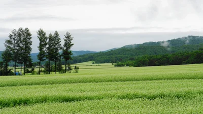 Horokanai - Photo 2