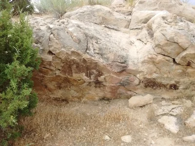 Dinosaur - Photo 3