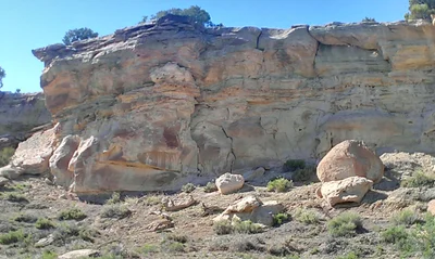 Dinosaur - Photo 4