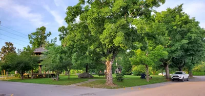Smithville - Photo 4