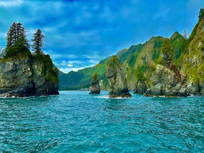 Kenai Fjords National Park - Photo 3