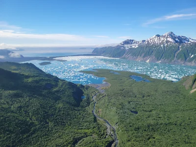 Kenai Fjords National Park - Photo 4