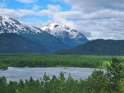 Kenai Fjords National Park - Photo 5