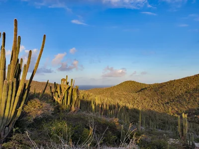 Arikok National Park - Photo 5