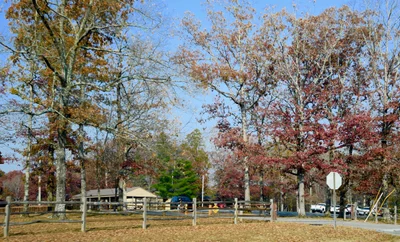 Tracy City - Photo 5