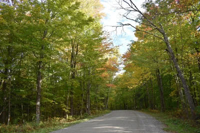 Morrisville - Photo 5
