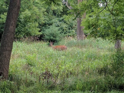 Green Lake - Photo 2