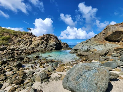 Jost Van Dyke - Photo 4