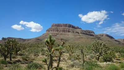 Meadview - Photo 4
