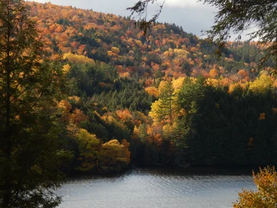 West Forks - Photo 3