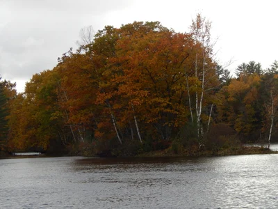 West Forks - Photo 4