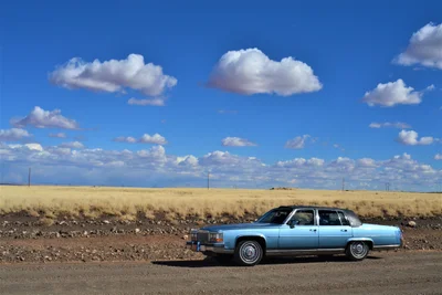 Leupp - Photo 2