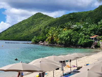 Grand Anse d'Arlet - Photo 4