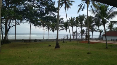 Negara - Photo 5